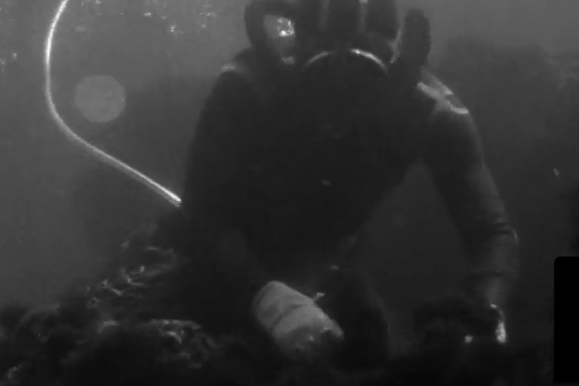Diver collecting algae biomass, Sesimbra 1975